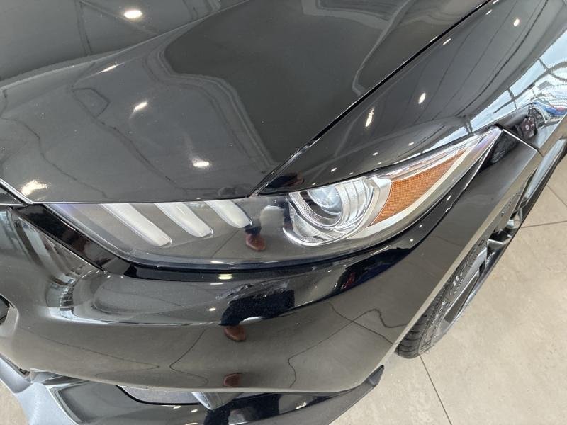 ford - Visuel 3