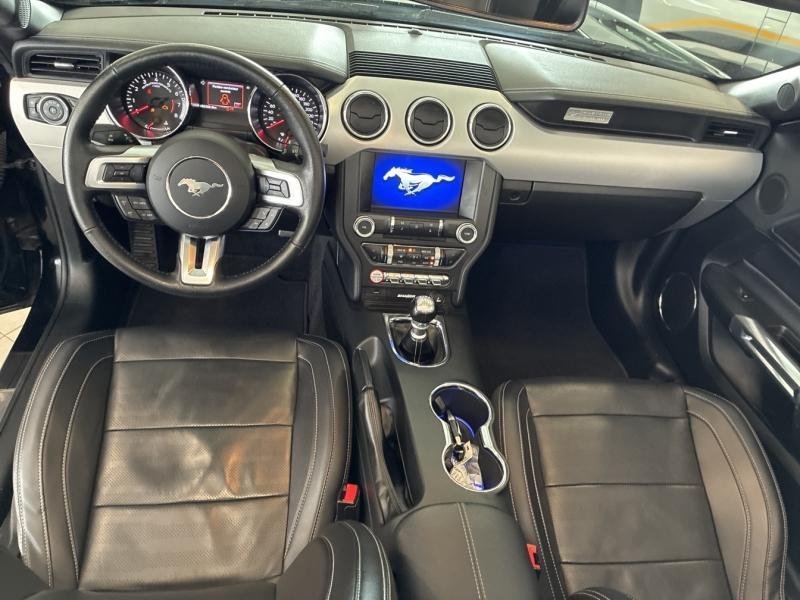ford - Visuel 6